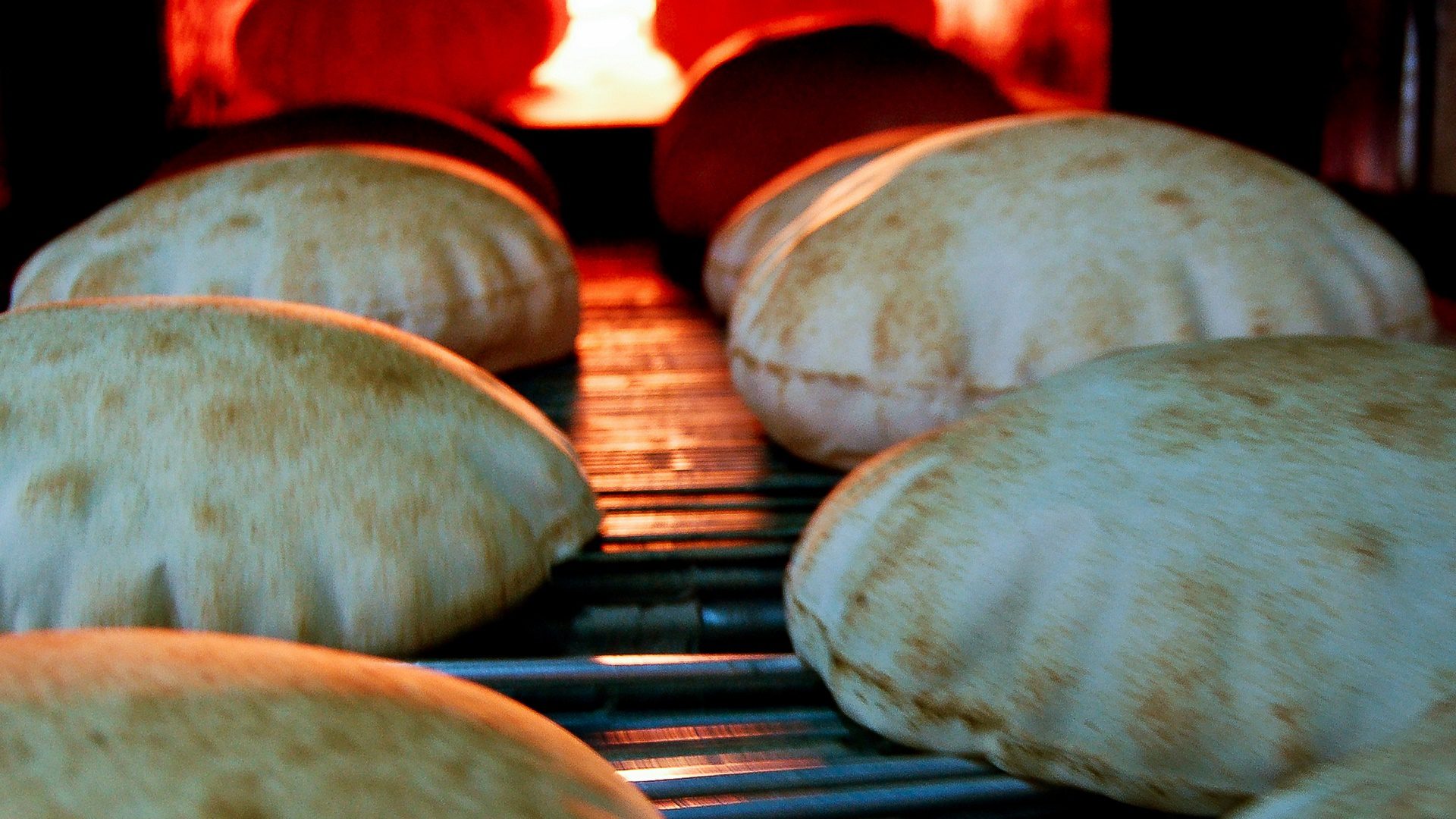 خاص: بودار أزمة خبز تلوح في الأفق