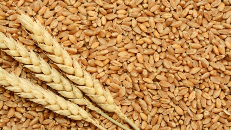 “اكتشاف” منشأة في البقاع تتسع لـ 400 ألف طن من القمح