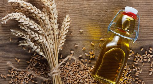 الزيت والقمح أزمة الزيت الى انفراج… ماذا عن القمح؟
