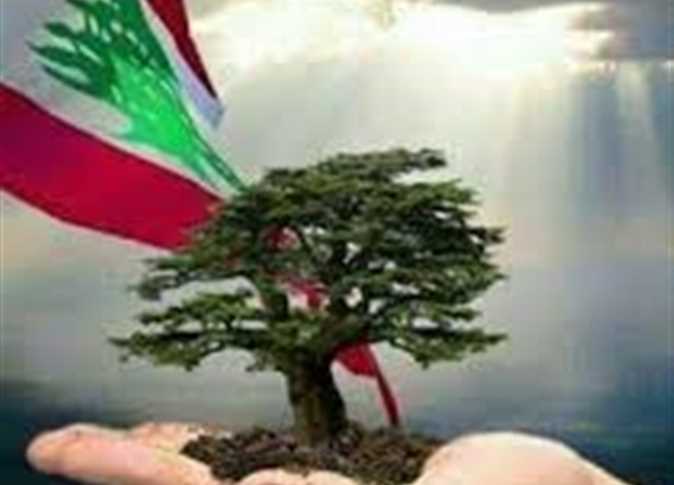 علم لبنان ارزة كف يد مصادر ديبلوماسية غربية: كلمة السر هي الاستقرار
