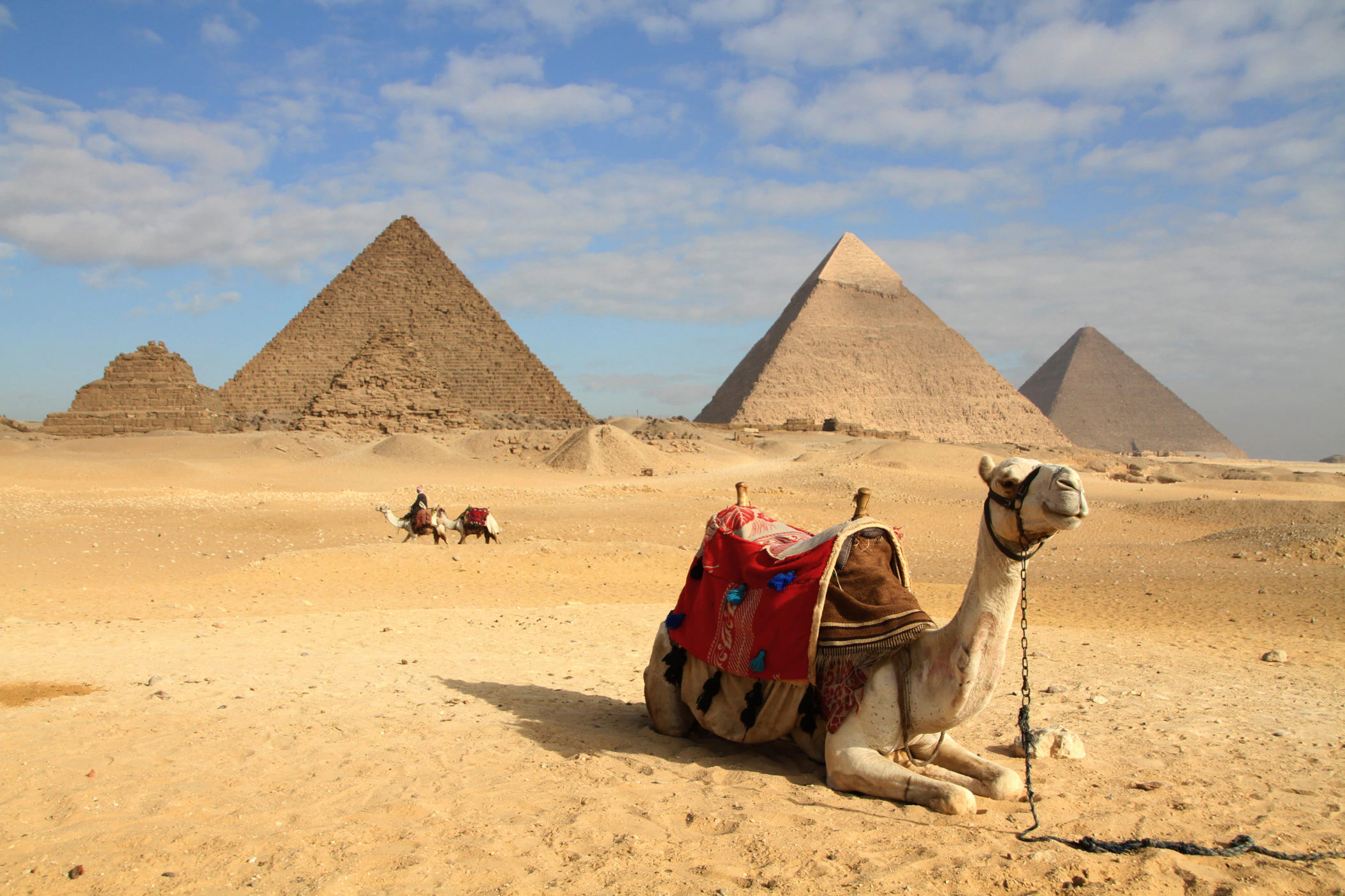 مصر بالصورة- حريق هائل في منطقة الحرس الوطني بمصر