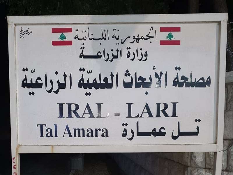 index لاري نفت وصول عاصفة ترابية الى لبنان