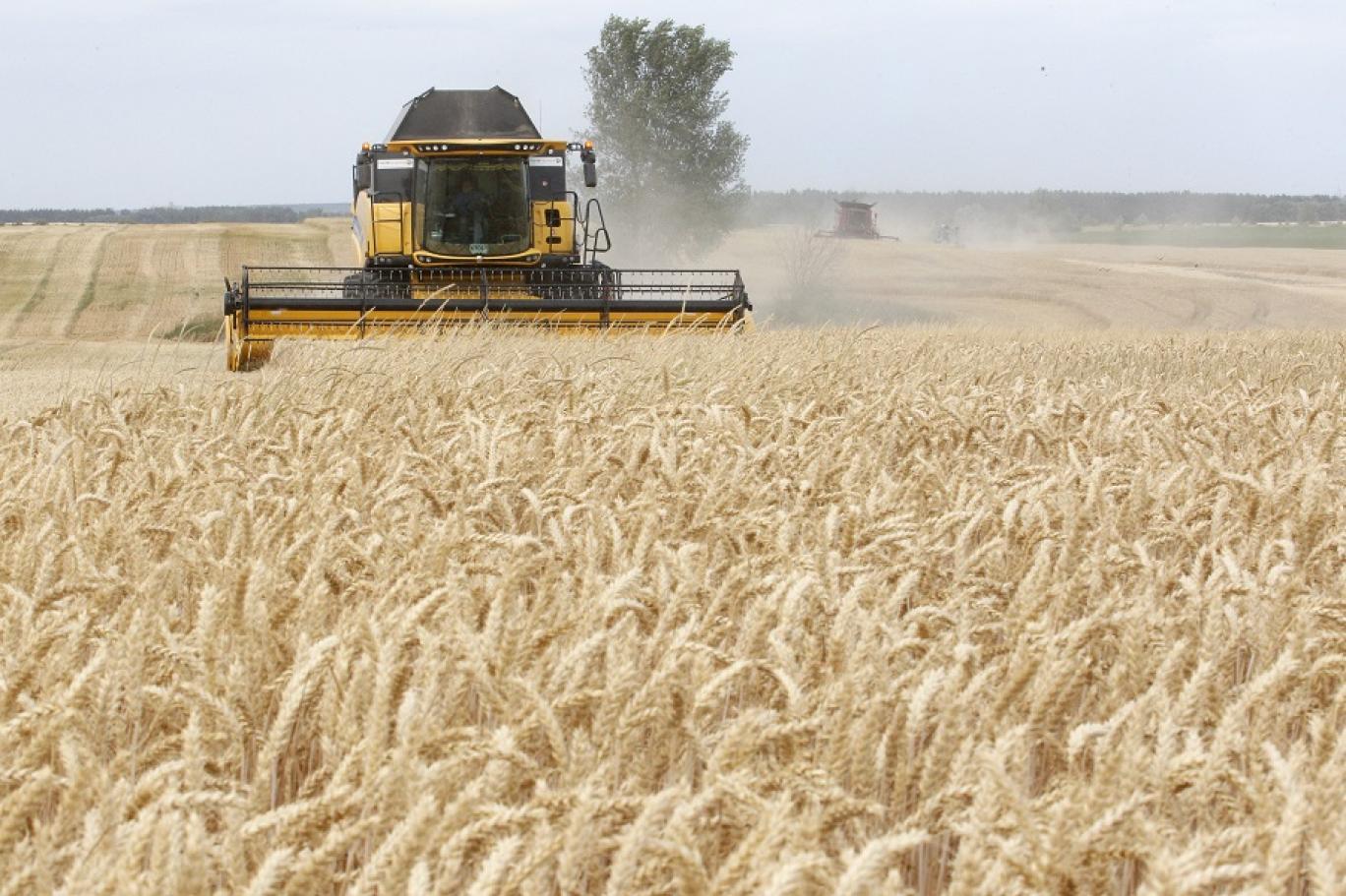 تراجع صادرات أوكرانيا من الحبوب في نيسان