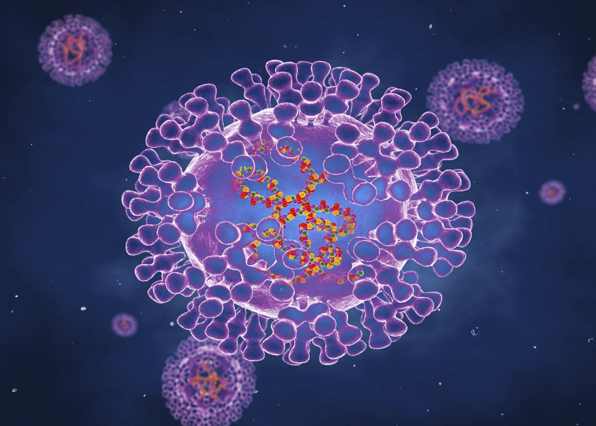 Pox viruses, illustration بعد أيام القلق.. تصريحات “مطمئنة” عن جدري القردة