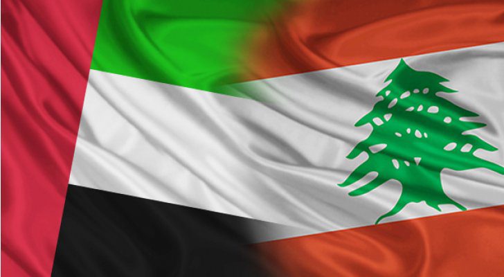 علم لبنان والامارات بالفيديو: إقبال كثيف على الاقتراع في دبي