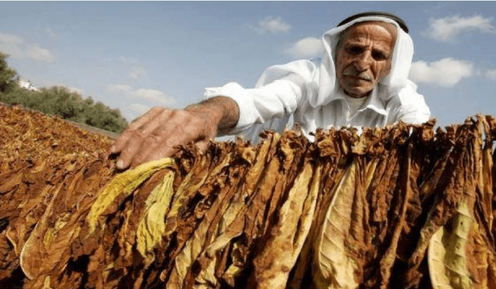 ضبط منتجات تبغية مهرّبة في الجنوب والنبطية