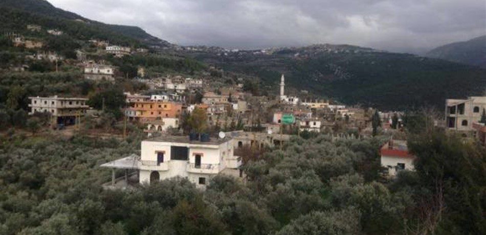اندلاع حريق كبير في غابات قبعيت