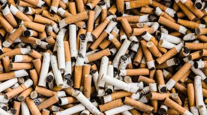 cigarette-butts مرض يقضي على محاصيل مزارعي التنباك في عكار