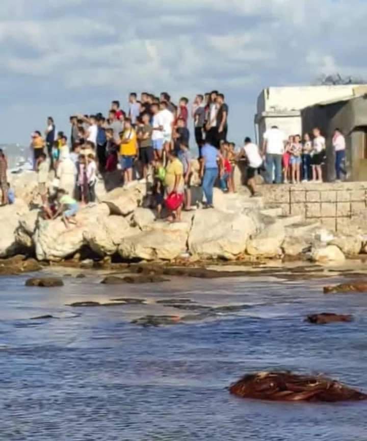 النقل السورية: العثور على 15 جثة بعد غرق مركب مهاجرين قبالة شاطئ طرطوس