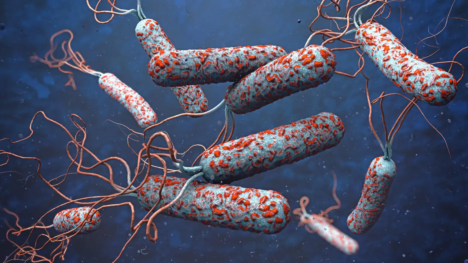 الكوليرا Cholera هل تفشى فيروس الكوليرا في المدارس؟