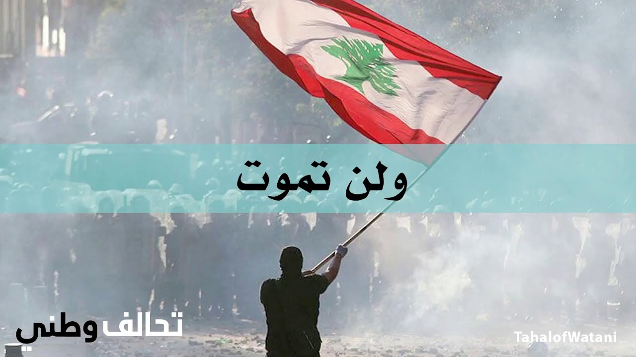 تحالف وطني تحالف وطني: للضغط على وزير العدل للتنحي واستقالة مجلس القضاء فورًا
