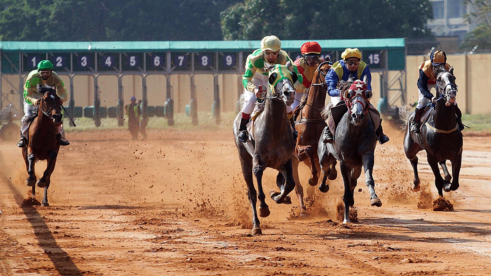 سباق الخيل معرض سباق الخيل في بيروت… احتيالٌ وخديعة للعارضين