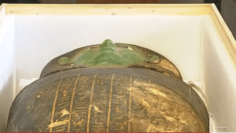 ef84a434b9b14bb31c1472091b740fe3 مصر تسترد “كنزها الأخضر” من اميركا