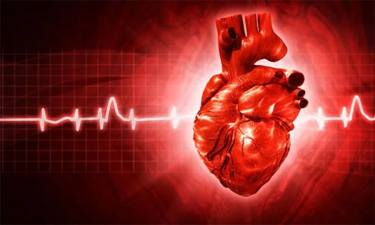 اختبار سريع يكشف العمر الفعلي لعضلة قلبك