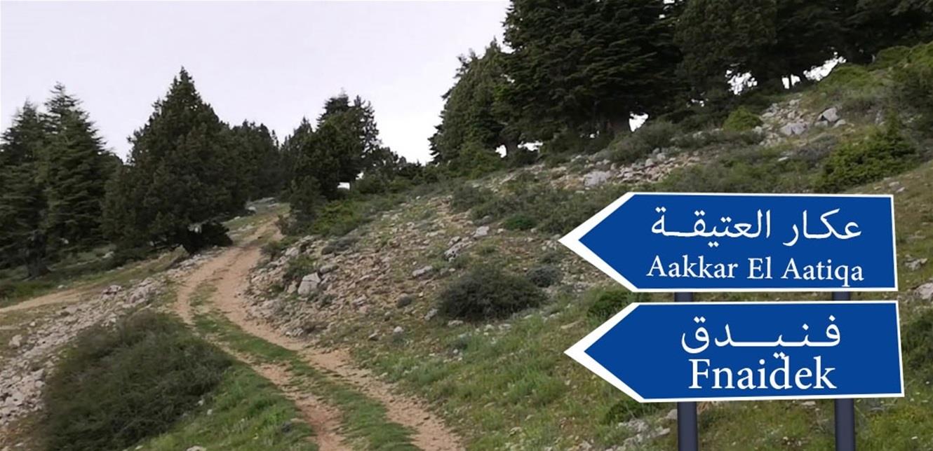 فنيدق عكار خاص- بالصور- مجزرةٌ بيئيّة في عكّار… واستغاثة الأهالي لم تلق آذنًا صاغيةً!