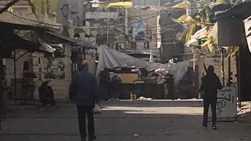 عين الحلوة3