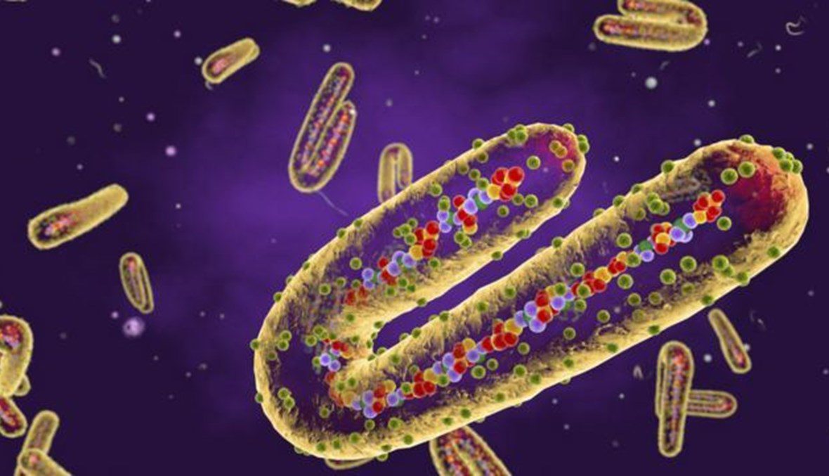 مرض خطير ومميت… إصابات ووفيات بفيروس ماربورغ