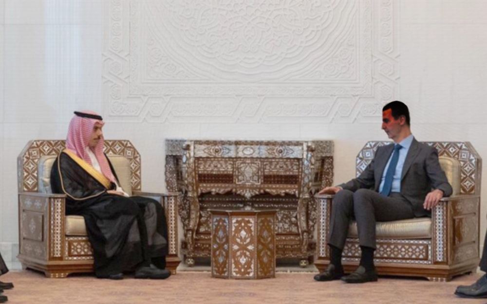 الاسد بن فرحان 6