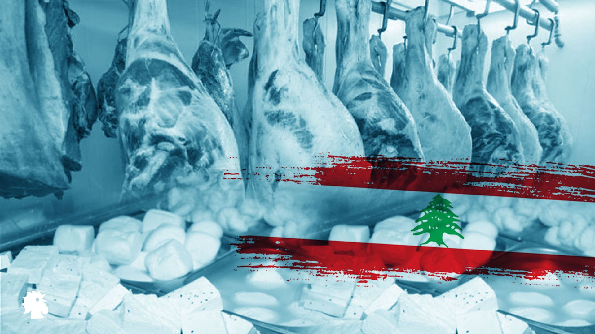 لحوم الفساد الغذائي يجتاح لبنان… هل من داعٍ للقلق؟