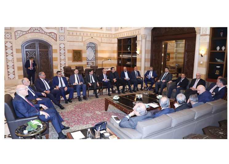 لقاء الحكومة