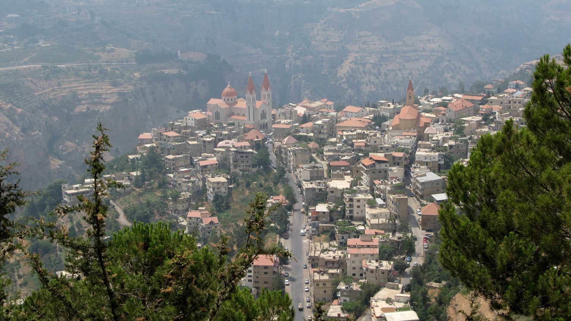 بشري44