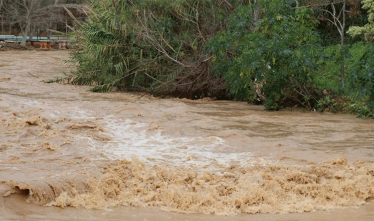ارتفاع منسوب الليطاني