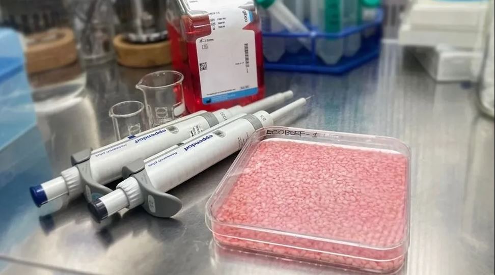 رز بديل اللحمة ملحمة تبيع خرافاً نافقة في بعلبك