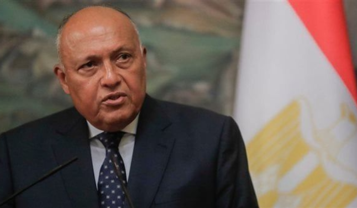 وزير الخارجية المصري