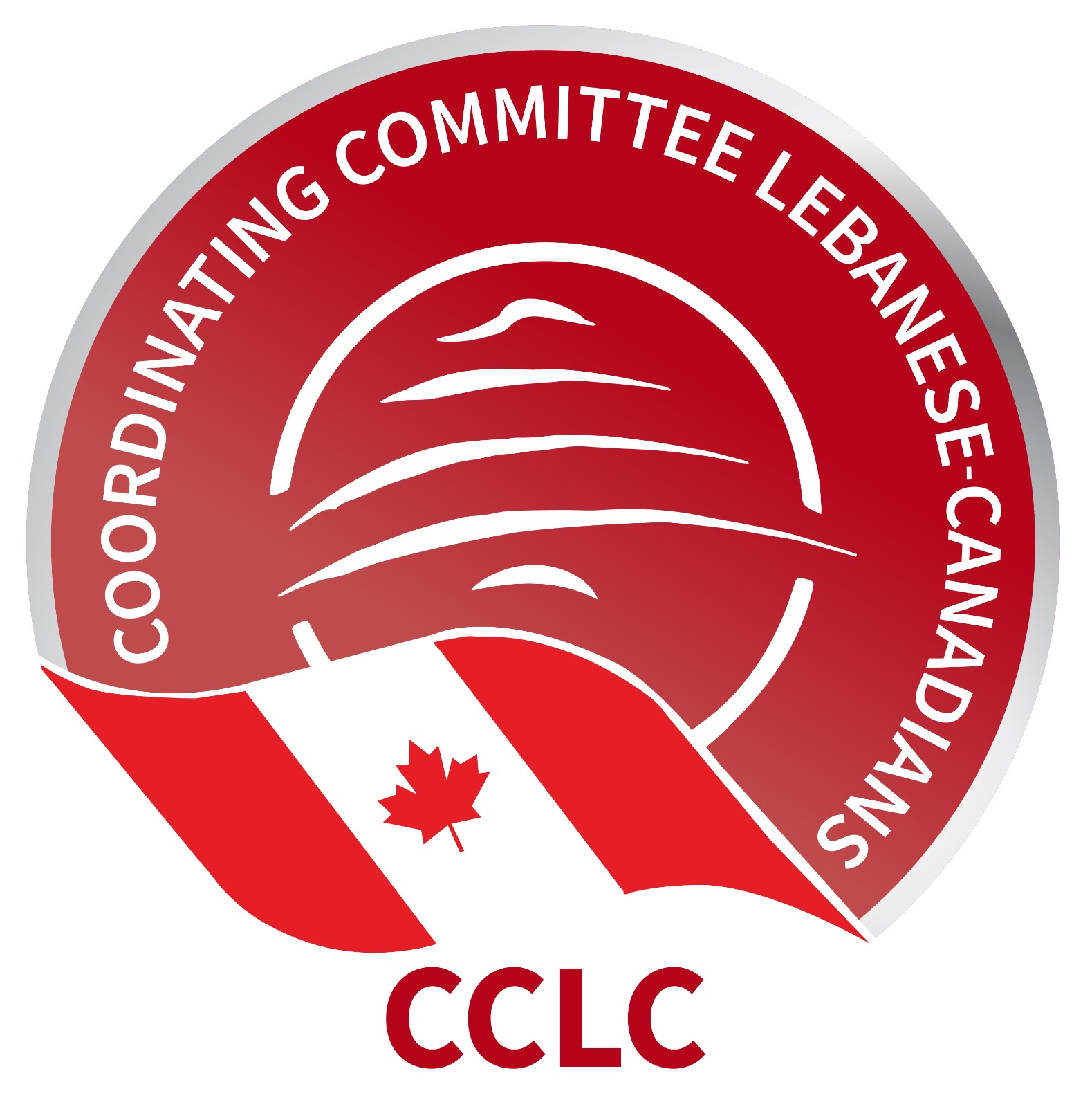 CCLC لحصريّة السلاح بيد الشرعيّة، بيان من لجنة التنسيق اللبنانيّة- الكنديّة