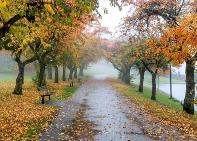 meteo 2 إستقرارٌ تدريجيّ في الطقس، ومنخفضٌ جوّي جديد الأسبوع المقبل