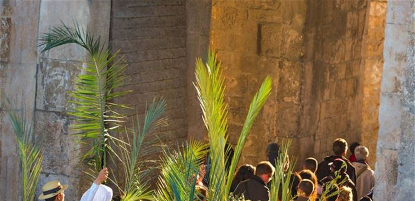 rameaux liban