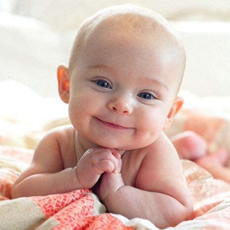 bebe