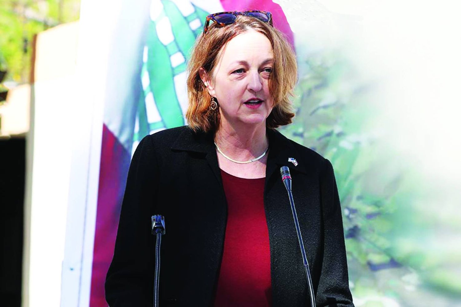 liza jonson