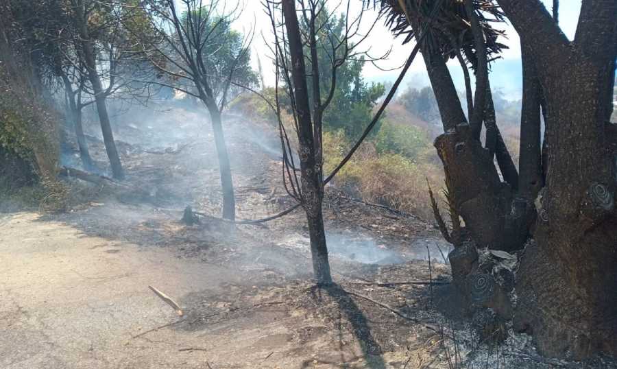 حريق مغدوشة 2 إخلاء عدد من المنازل في مغدوشة بسبب حريق