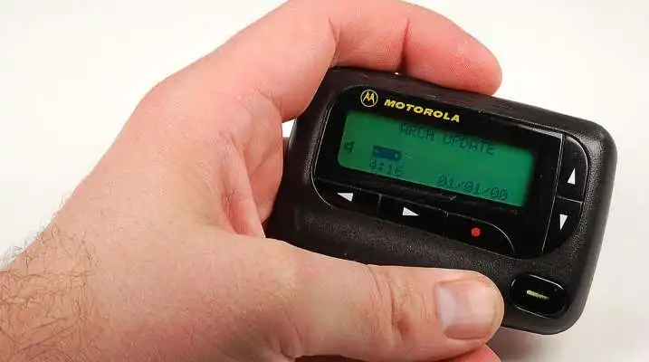 6905538_1726583530