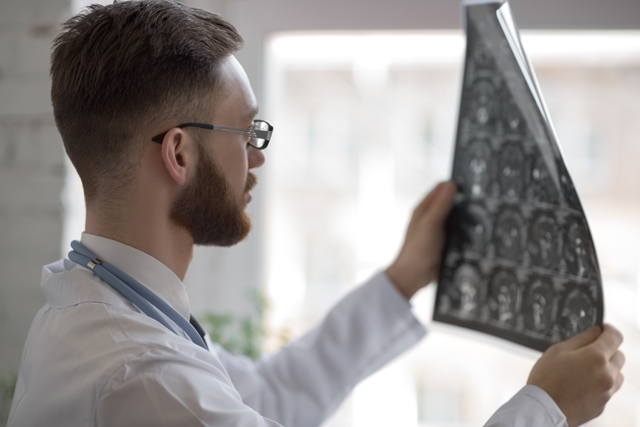 development-of-the-human-brain تعزيز صحة الدماغ كأداة اقتصادية.. كيف ذلك؟