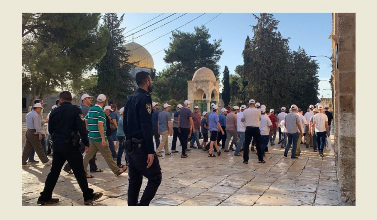 مستعمرون في الأقصى مستعمرون اقتحموا المسجد الأقصى