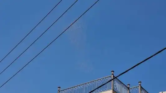 مناشير