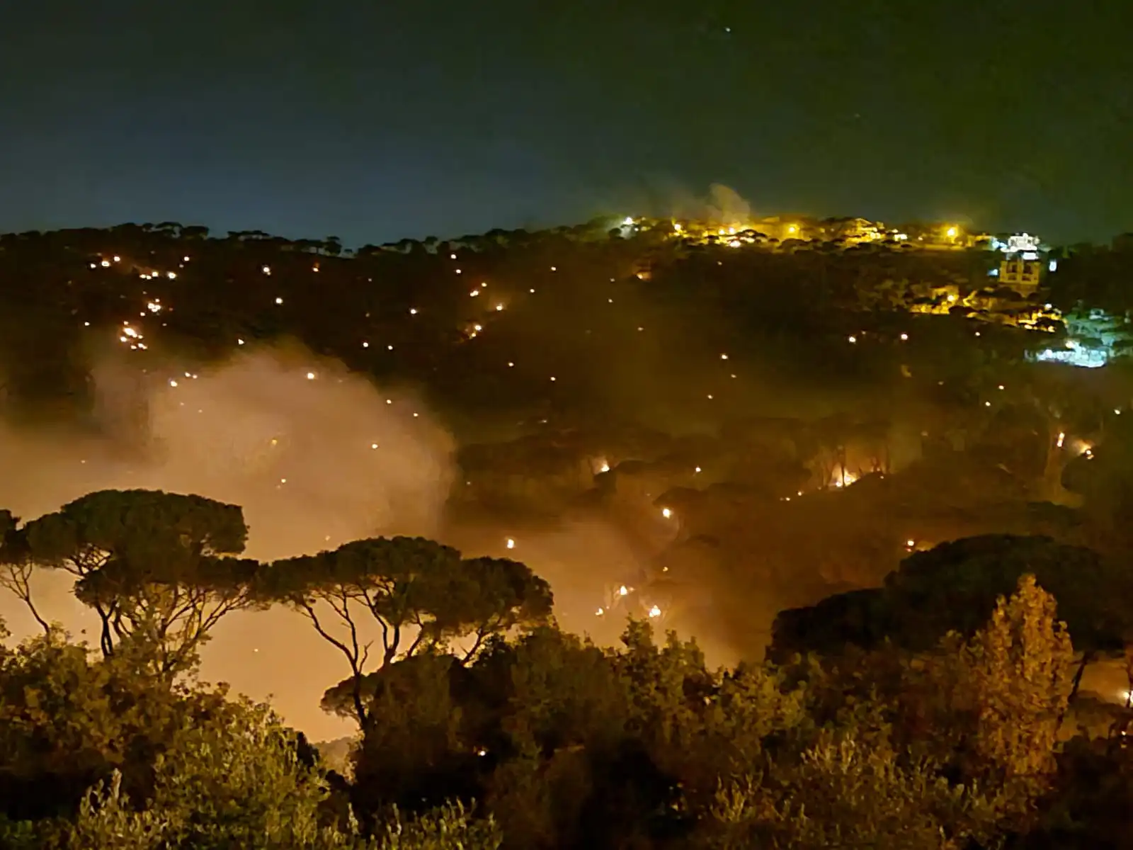 IMG-20241028-WA0013 الدفاع المدني يُعلن السيطرة على حريق جزّين