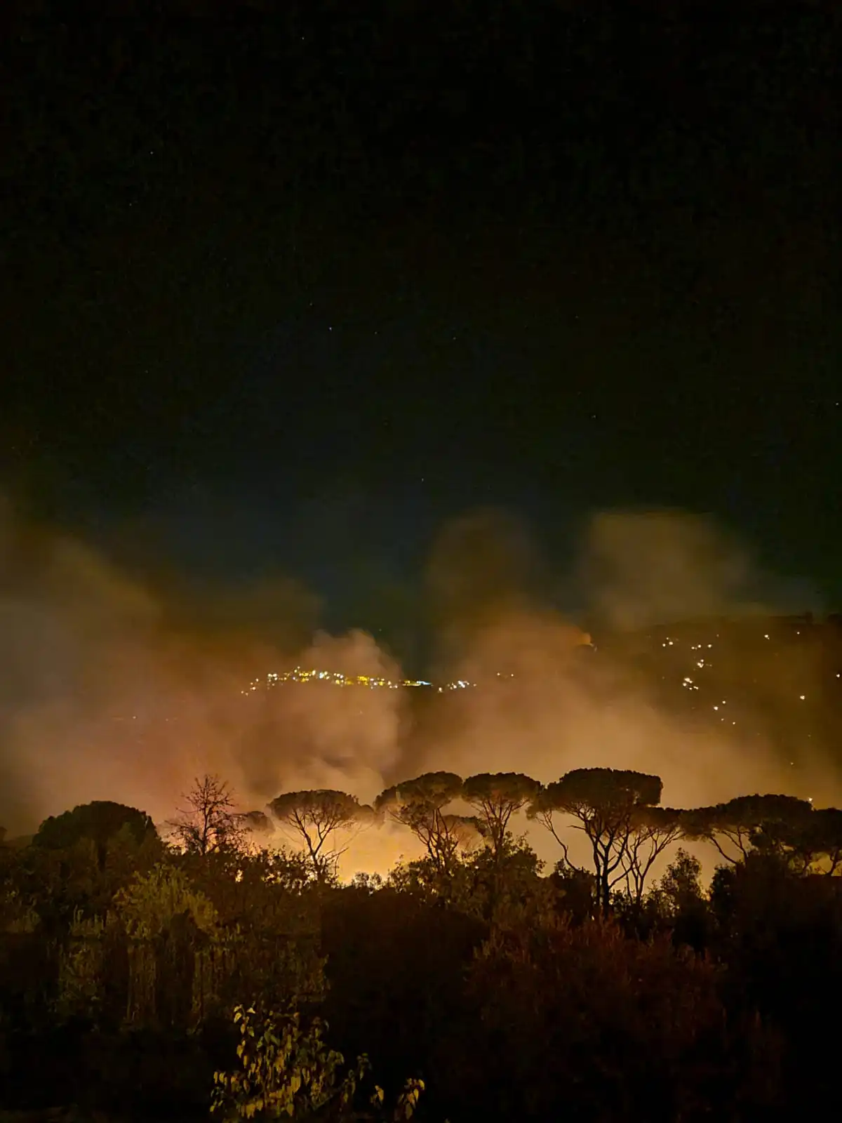 فيديوهات وصور حصرية لحريق قيتولي الحمصية