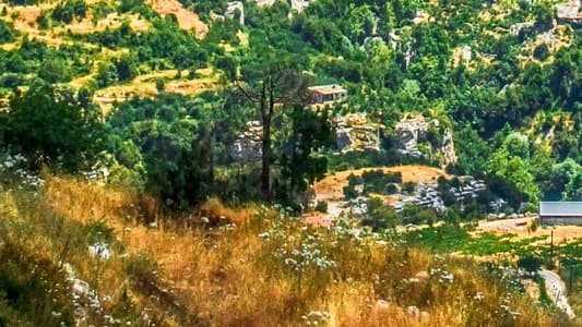 أفقا-جبيل في جبيل، وُجد جثّة هامدة، إليكم التفاصيل