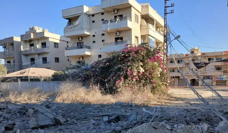 الجنوب-كفر جوز