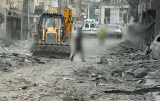 الضاحية 31