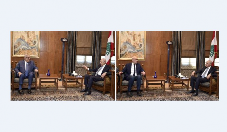 بري بري التقى بوحبيب ومولوي والسفير البابوي