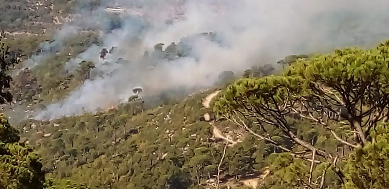 حرائق 3 تجدّد الحرائق في خراج بلدة قيتولي- جزين