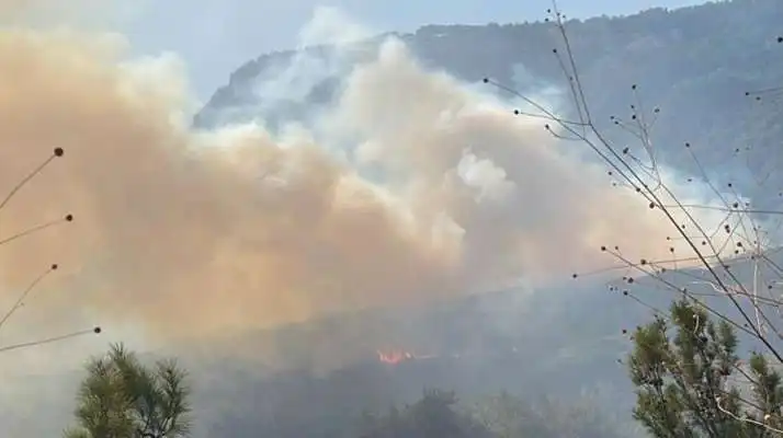 حريق الربوة