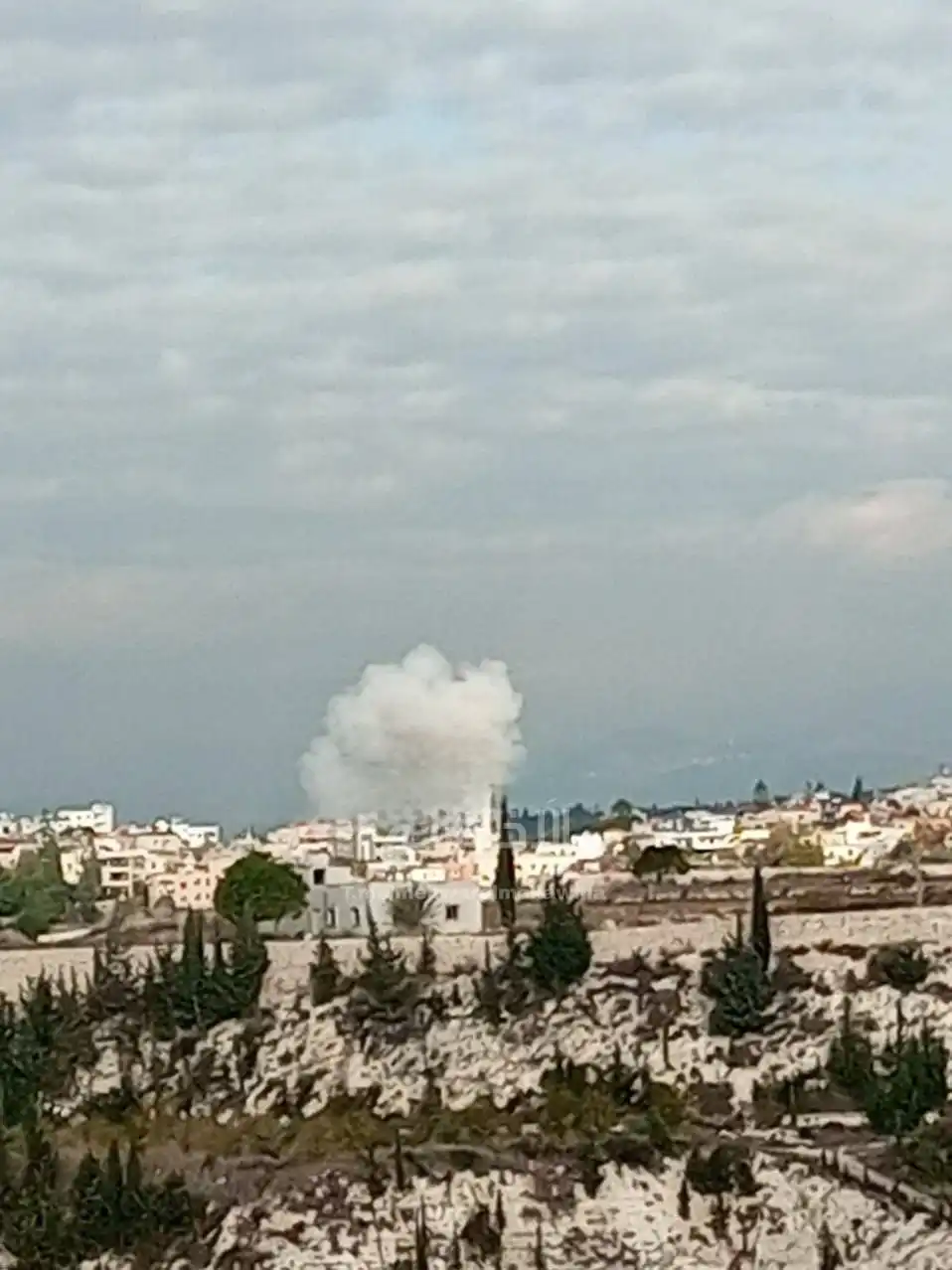 WhatsApp Image 2024-11-28 at 3.58.26 PM