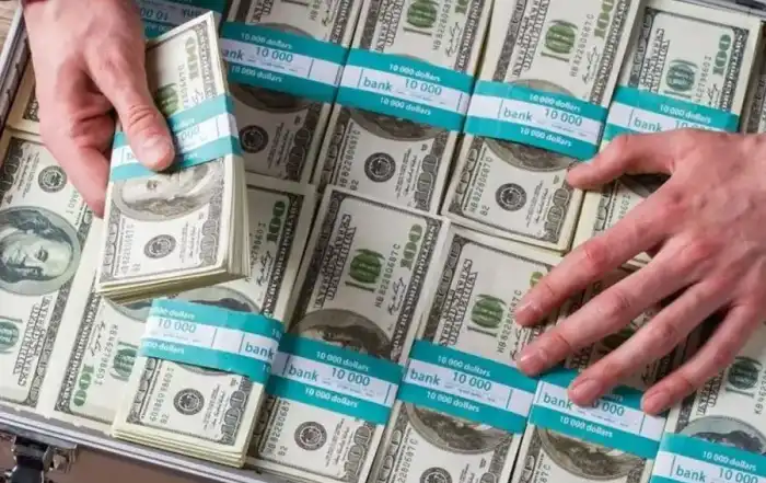 دولارات شنط