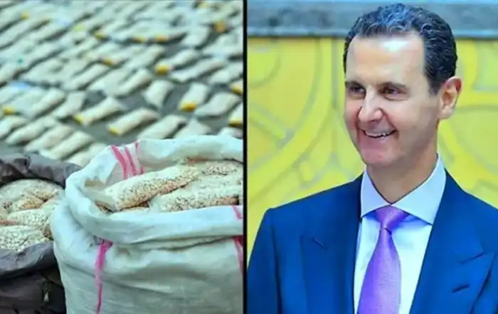 الاسد كبتاغون