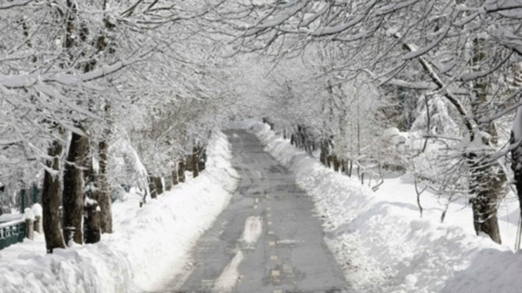 الثلج—لبنان بالصورة- ضهر البيدر اليوم